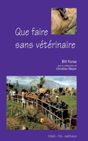 Que faire sans vétérinaire