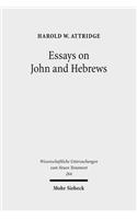 Essays on John and Hebrews