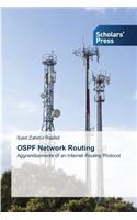 OSPF Network Routing
