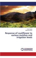 Response of cauliflower to various mulches and irrigation levels