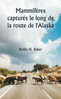 Mammifères capturés le long de la route de l'Alaska