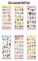 Alphabet, Fruits, Vegetables, Animals, Birds and Numbers Gloss Laminated charts :- Learning chart for kids, Educational wall posters, Picture Chart Set | Combo of 6 English-Hindi Charts