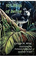 101 Birds of Belize