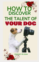 How to Discover the Talent of Your Dog