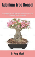 Adenium Tree Bonsai