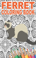 Ferret Coloring Book
