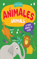 Animales / Animals