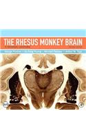 The Rhesus Monkey Brain in Stereotaxic Coordinates [With DVD]
