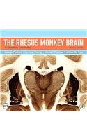 The Rhesus Monkey Brain in Stereotaxic Coordinates [With DVD]