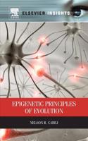 Epigenetic Principles of Evolution