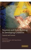 Taxation and State-Building in Developing Countries