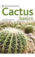 Cactus Basics