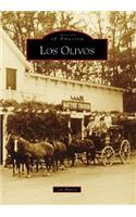 Los Olivos