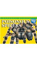 Poisonous Spiders