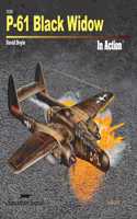 P-61 Black Widow in Action