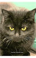 Chat Noir Carnet de notes: Journal ligné de 119 pages- Une belle idée de cadeau pour les amoureux des animaux