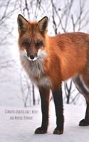 18 Months Undated Daily, Weekly and Monthly Planner: Red Fox Wildlife Nature Vol 27 Non-Dated Planner Helps You to Stay Organized with Daily, Weekly and Monthly Tasks --8.5 X 11 In.