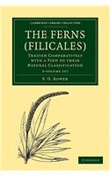 The Ferns (Filicales) 3 Volume Paperback Set: Volume Set