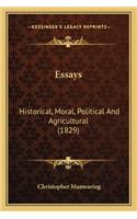 Essays