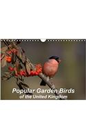 Popular Garden Birds of the United Kingdom 2018