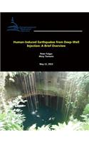 Human-Induced Earthquakes from Deep-Well Injection