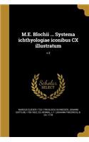 M.E. Blochii ... Systema ichthyologiae iconibus CX illustratum; v.2