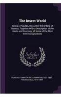 The Insect World