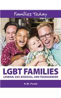 Lgbt Families