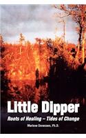 Little Dipper