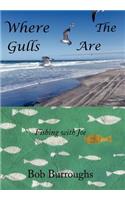 Where the Gulls Are
