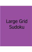 Large Grid Sudoku