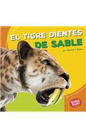 El Tigre Dientes de Sable (Saber-Toothed Cat)