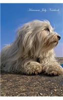 Havanese July Notebook Havanese Record, Log, Diary, Special Memories, To Do List, Academic Notepad, Scrapbook & More