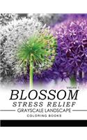 Blossom Stress Relief GRAYSCALE Landscape Coloring Books Volume 1