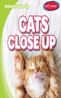 Cats Close Up: (Animals Close Up)