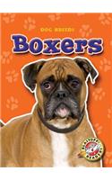 Boxers