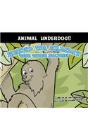 Speed Up, Sammy the Tree Sloth!: (English)