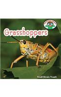 Grasshoppers