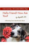 Hello Friend! How Are You? Color Learning Sit & Listen Edition