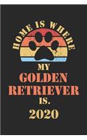 Golden Retriever 2020