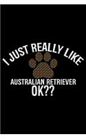 I Just Really Like Australian Retriever Ok?