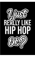 I Just Really Like Hip Hop Ok?