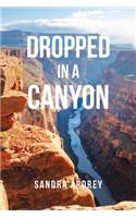 Dropped in a Canyon
