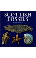 Scottish Fossils