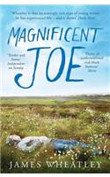 Magnificent Joe