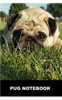 Pug Notebook: Blank Lined Pug Dog Journal: Pug on Grass