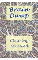 Brain Dump - Clearing My Mind: Blank Journal / Notebook / Sketch / Drawing Book - 6 X 9 Paper - Unlined Notebook / Journal - 100 Pages