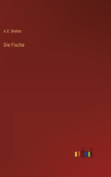 Fische
