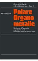 Struktur und Reaktivitat polarer Organometalle