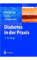 Diabetes in Der Praxis